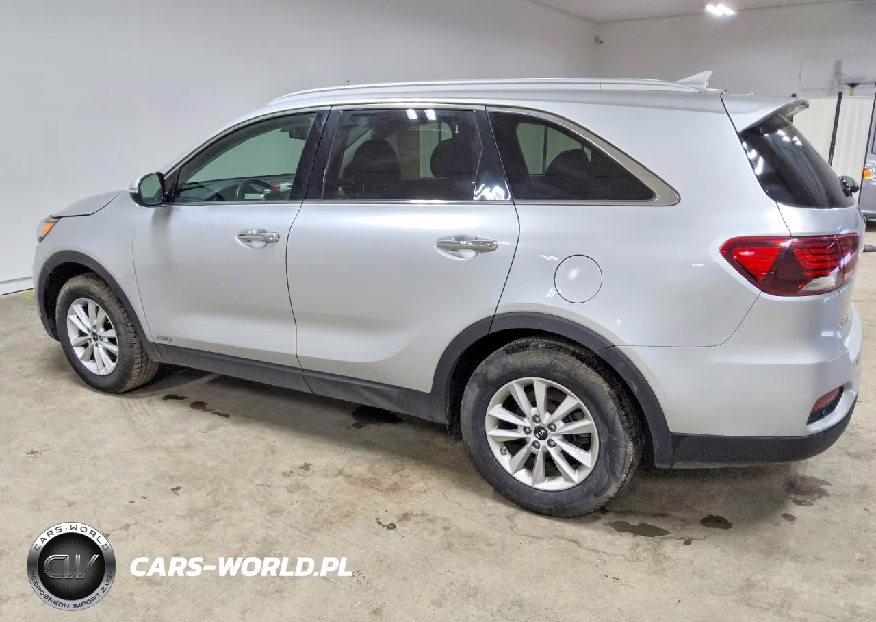 2019 Kia Sorento Lx VIN:5XYPGDA38KG561053 - 2