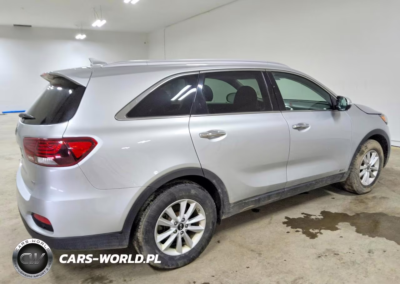 2019 Kia Sorento Lx VIN:5XYPGDA38KG561053 - 3