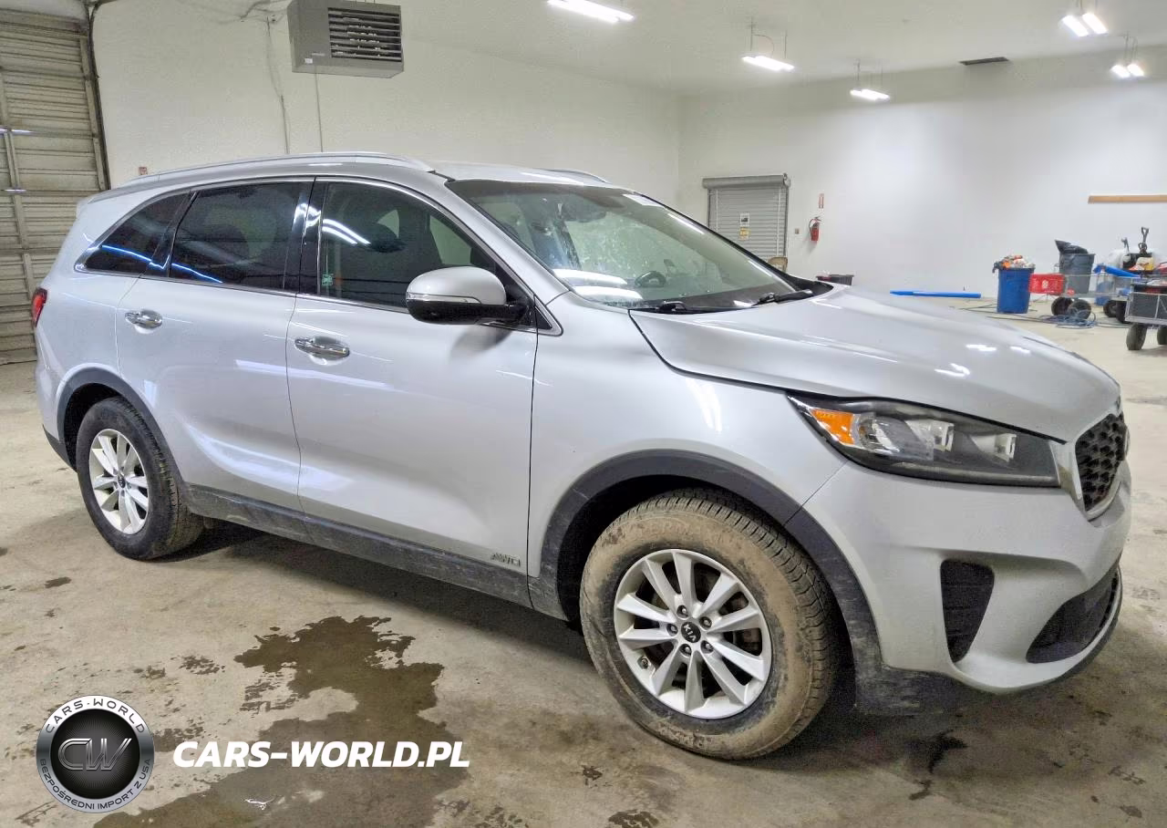 2019 Kia Sorento Lx VIN:5XYPGDA38KG561053 - 4