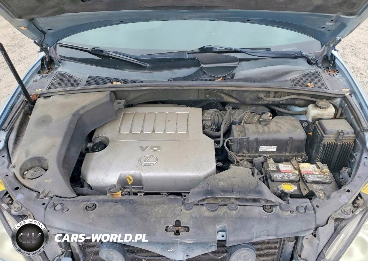 2007 Lexus Rx 350 VIN:2T2HK31U37C024045 - 11