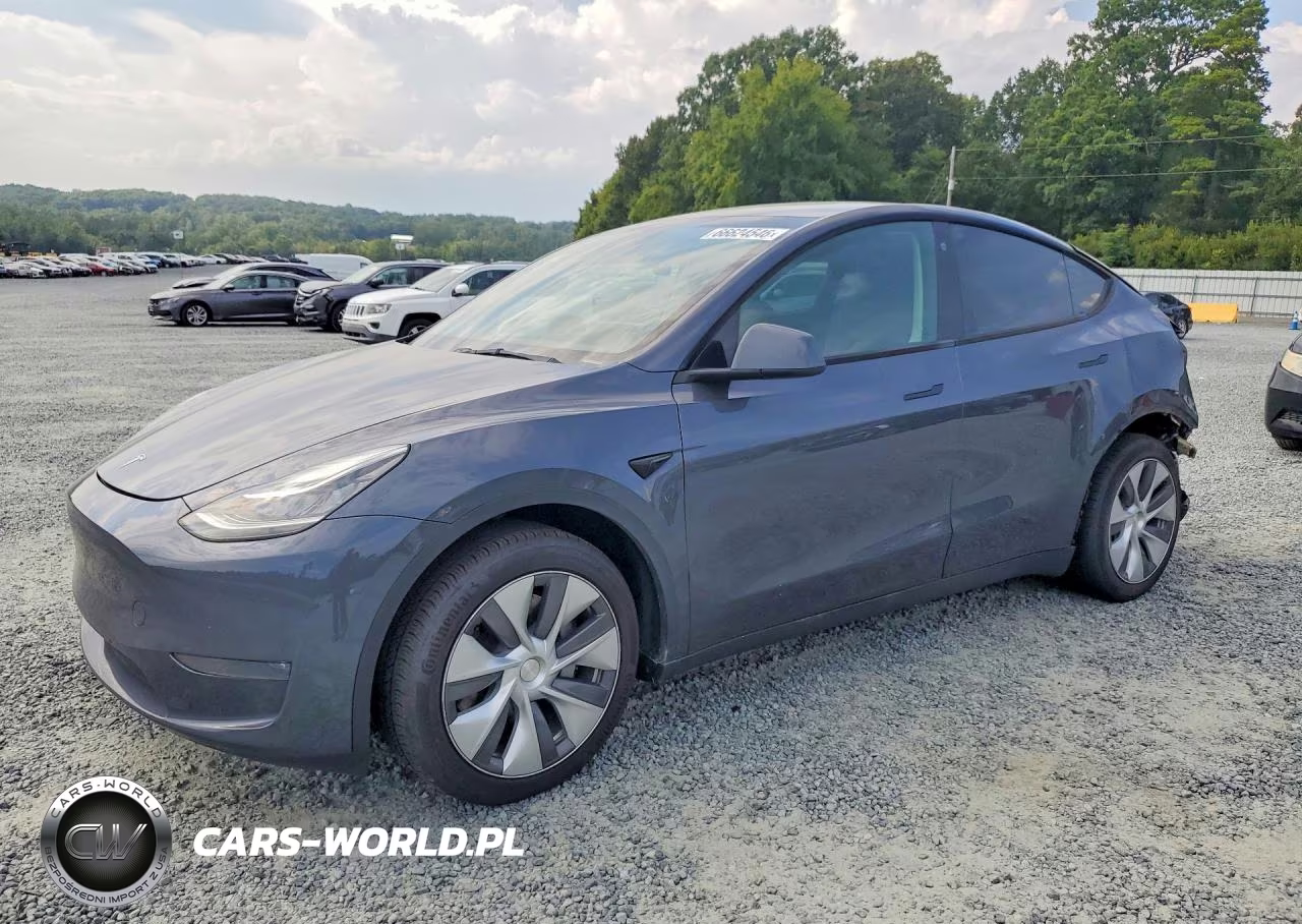 2023 Tesla Model Y VIN:7SAYGDEE4PA043231 - 1