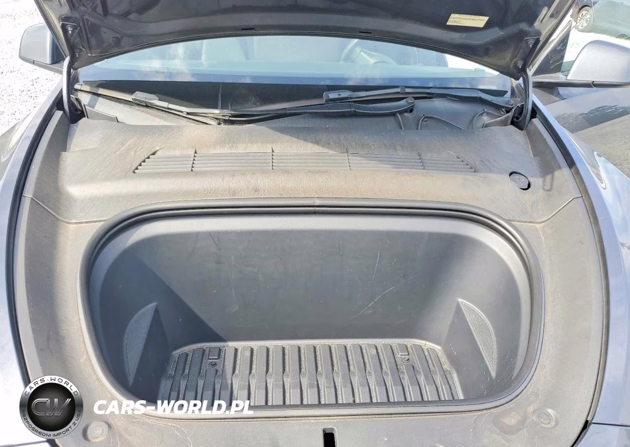 2023 Tesla Model Y VIN:7SAYGDEE4PA043231 - 11