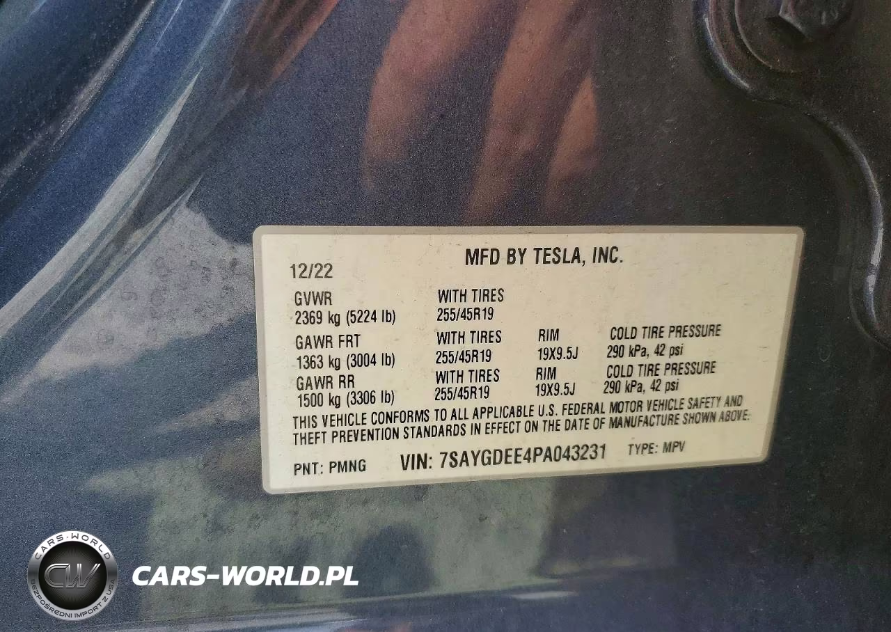 2023 Tesla Model Y VIN:7SAYGDEE4PA043231 - 12