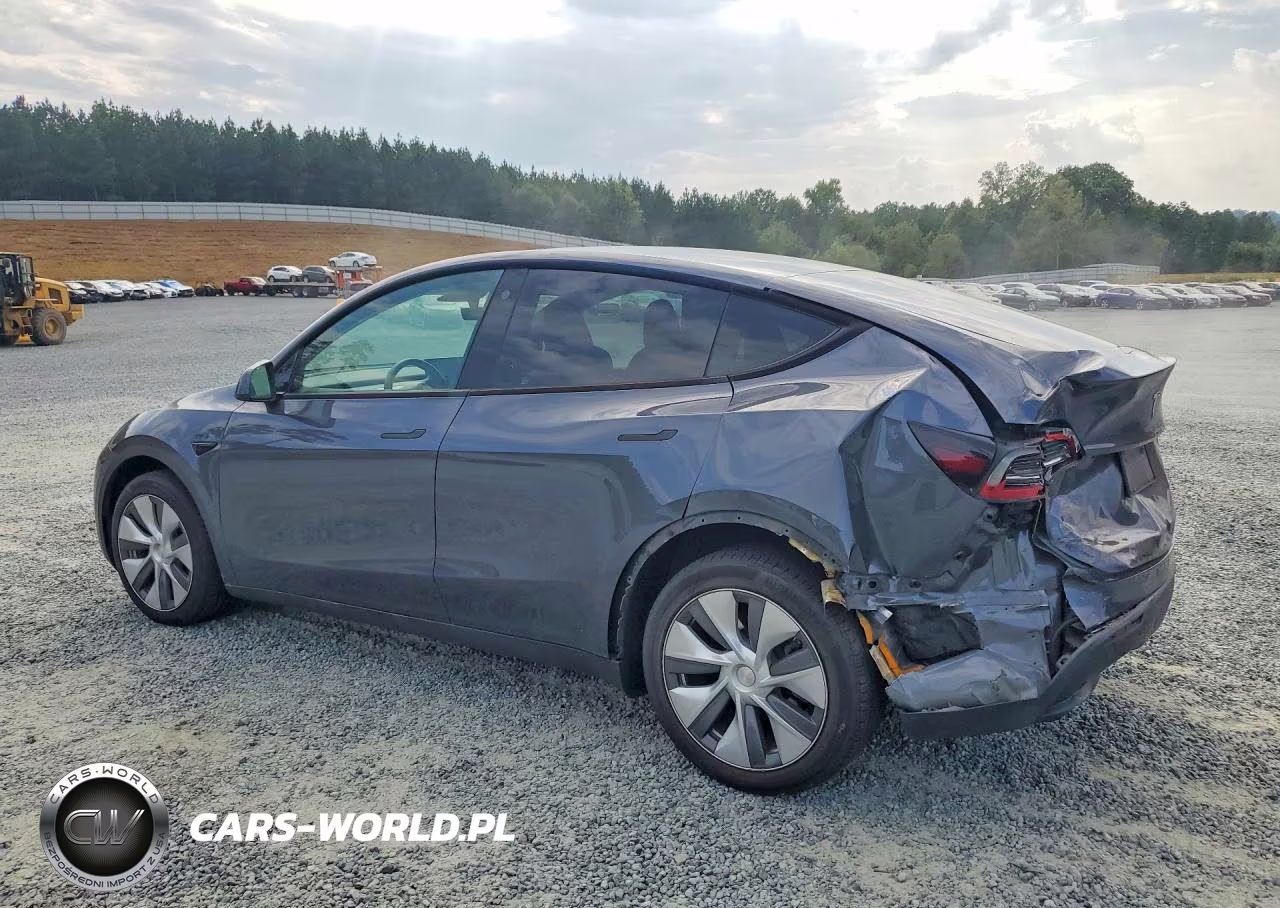 2023 Tesla Model Y VIN:7SAYGDEE4PA043231 - 2