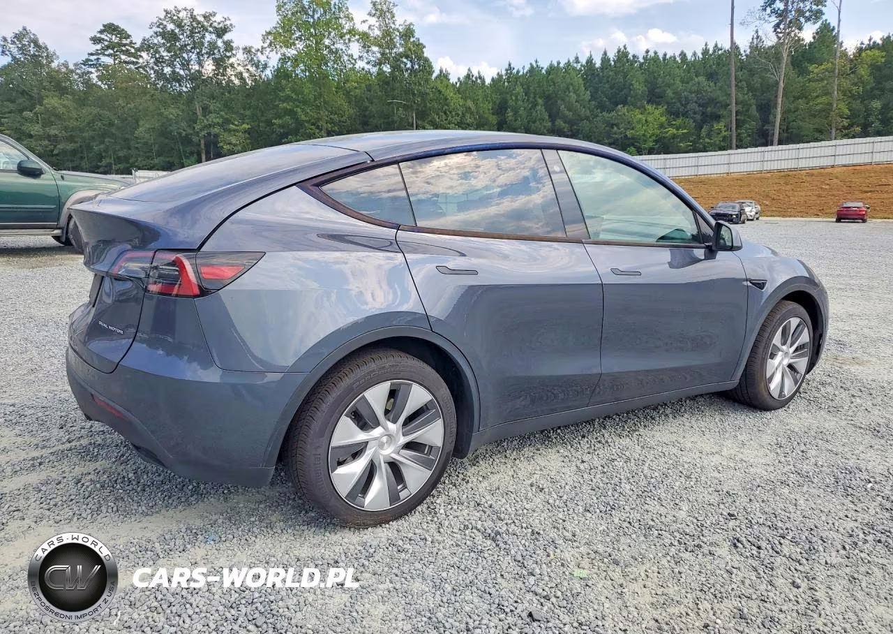 2023 Tesla Model Y VIN:7SAYGDEE4PA043231 - 3