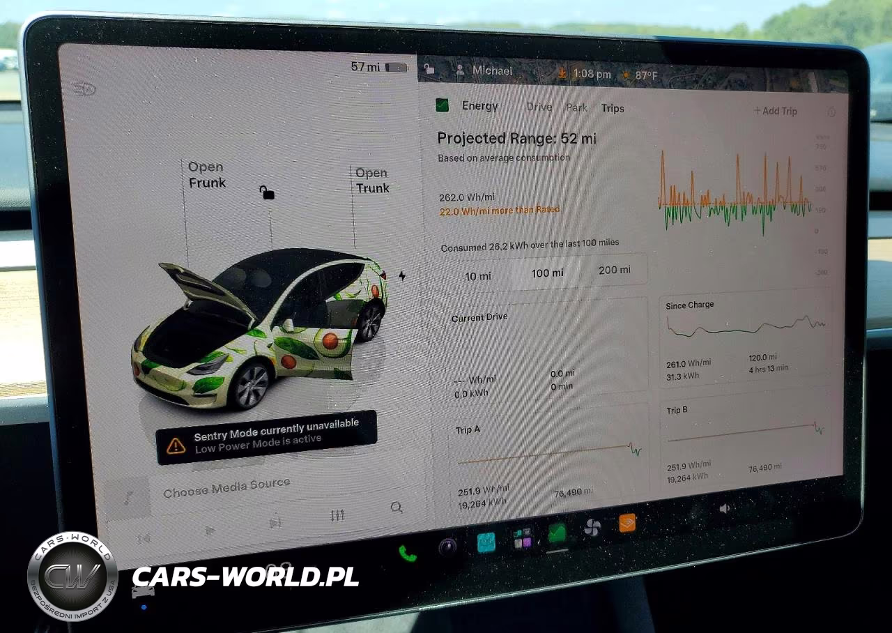 2023 Tesla Model Y VIN:7SAYGDEE4PA043231 - 9