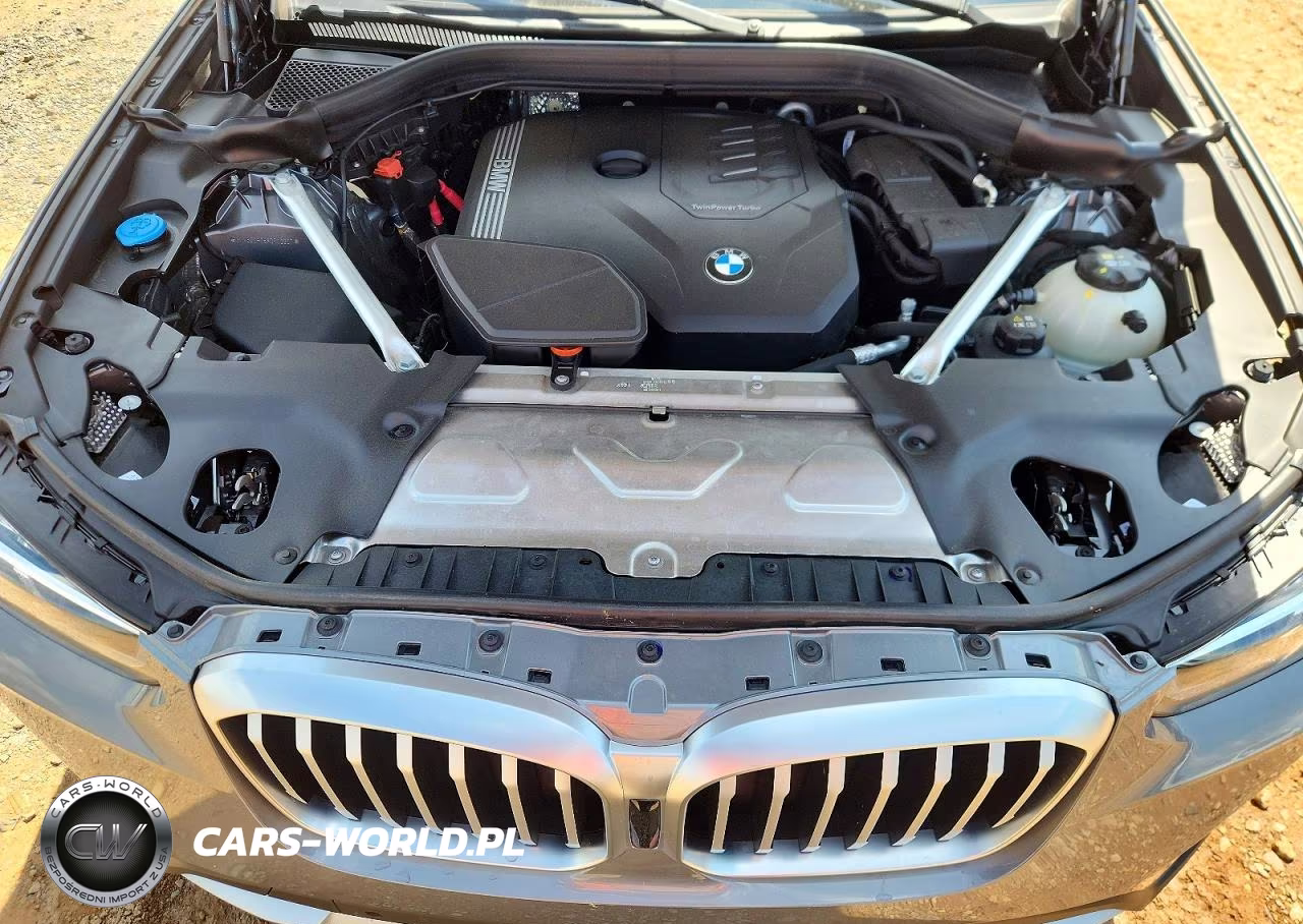 2023 BMW X3 xDrive30I VIN:5UX53DP06P9R49907 - 12