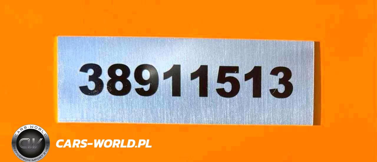 2025 OTHER HEAVY EQUIPMENT EXCAVATOR VIN:38911513 - 9