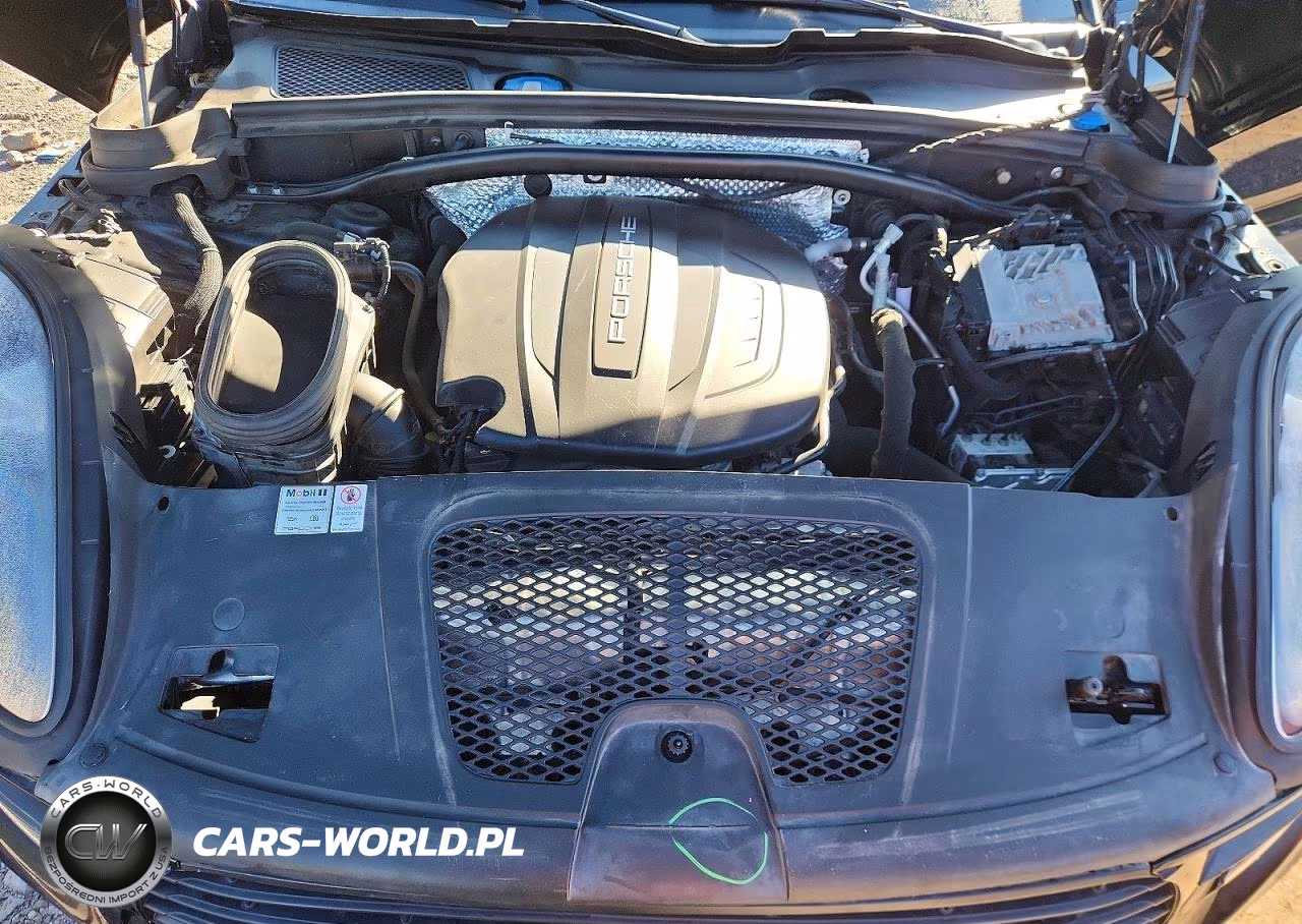 2020 Porsche Macan VIN:WP1AA2A50LLB13424 - 12
