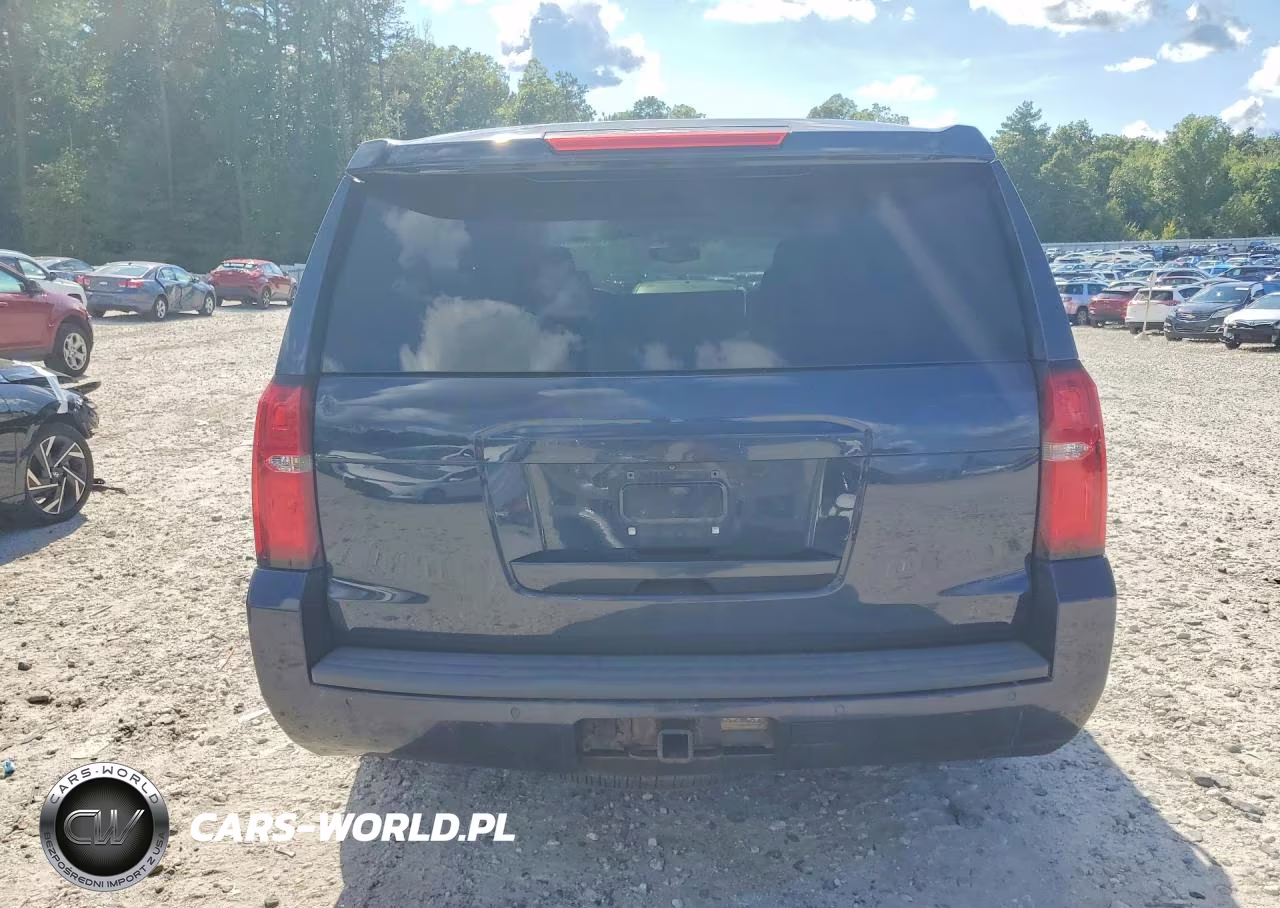 2017 Chevrolet Tahoe Police VIN:1GNSKDEC1HR321699 - 6