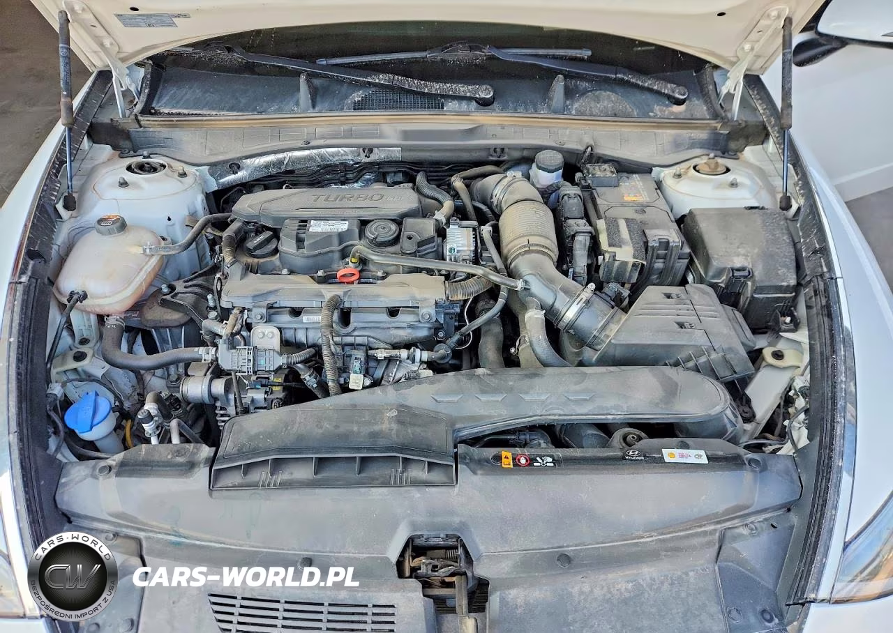2023 Hyundai Sonata Limited VIN:KMHL34J27PA260648 - 11