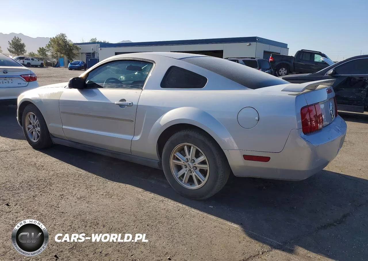 2006 Ford Mustang VIN:1ZVFT80N565192827 - 2