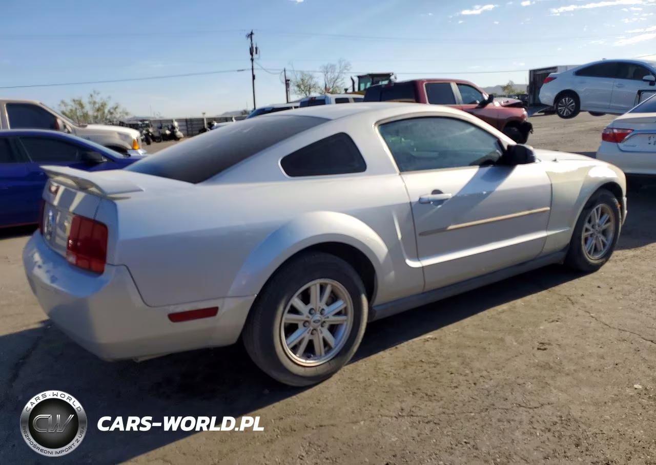 2006 Ford Mustang VIN:1ZVFT80N565192827 - 3