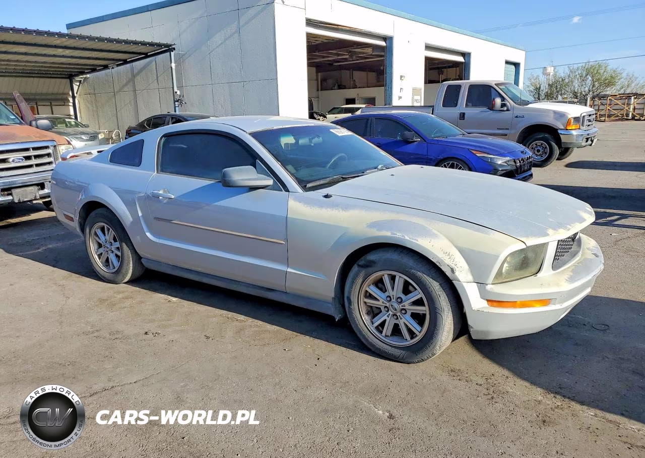 2006 Ford Mustang VIN:1ZVFT80N565192827 - 4