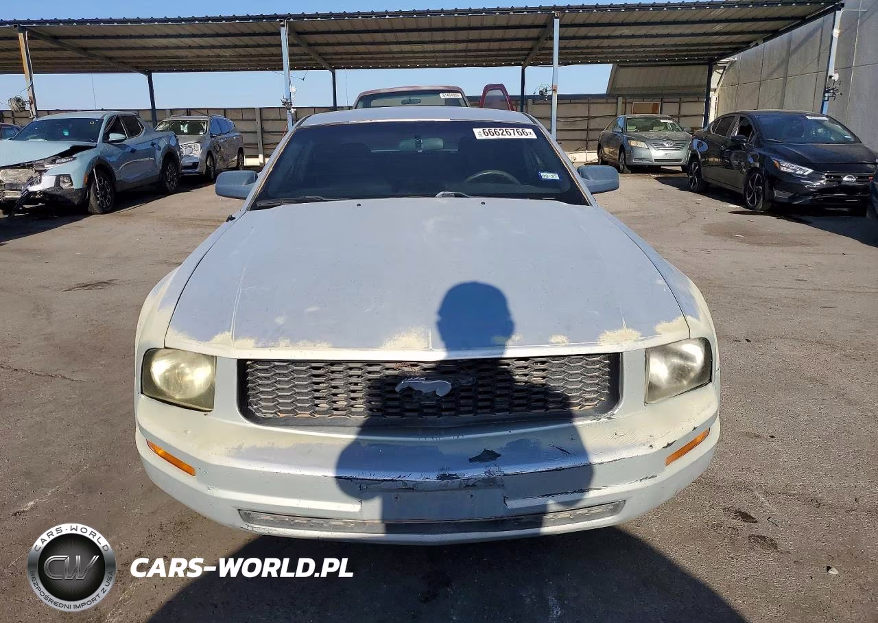 2006 Ford Mustang VIN:1ZVFT80N565192827 - 5