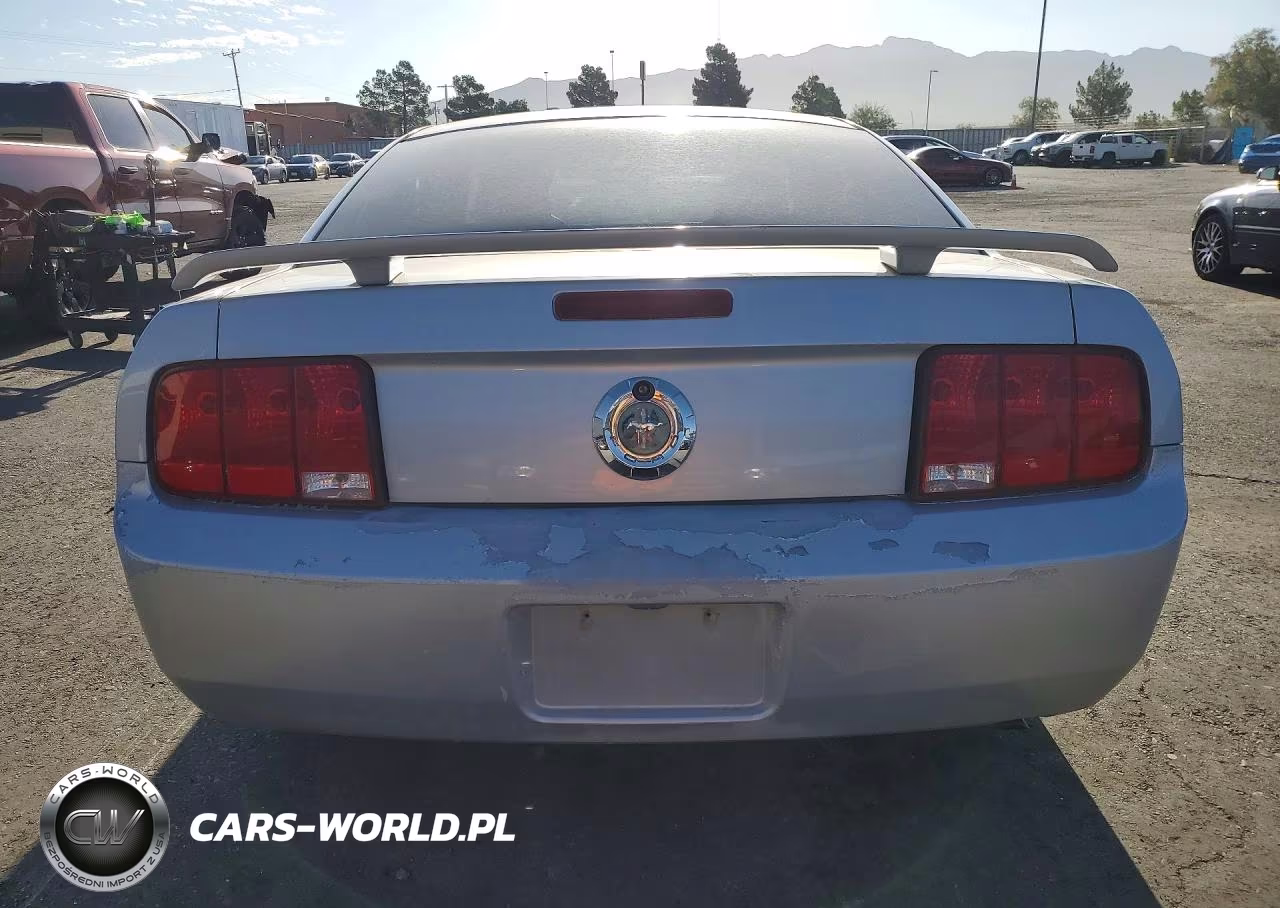 2006 Ford Mustang VIN:1ZVFT80N565192827 - 6