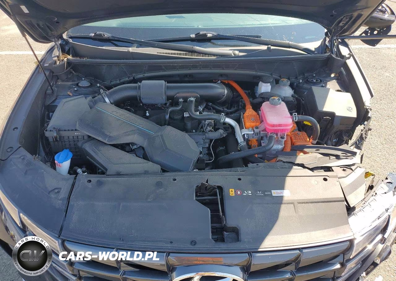 2024 Hyundai Tucson Sel Convenience VIN:KM8JCCD11RU190179 - 12
