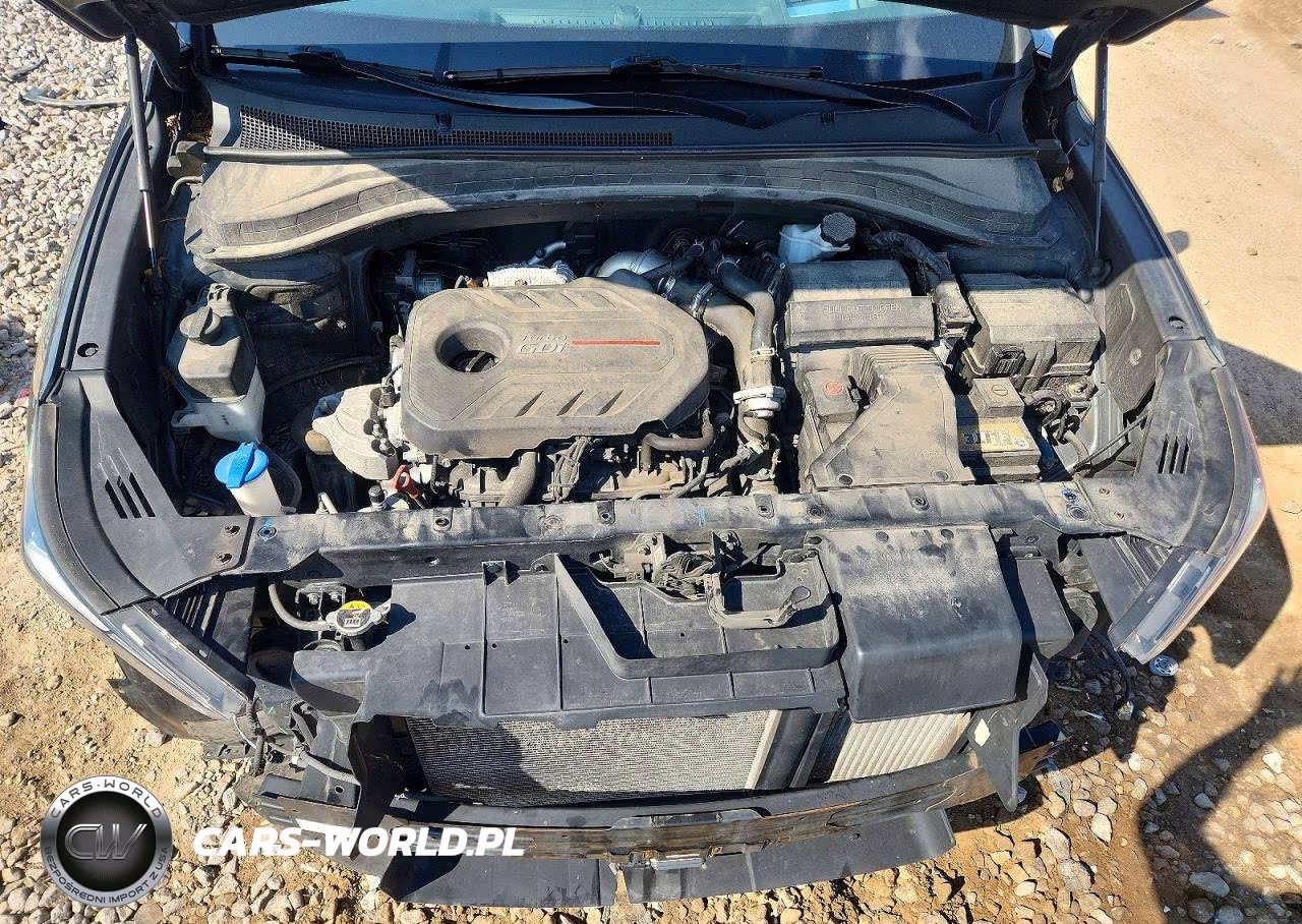 2019 Hyundai Santa Fe Ultimate 2.0T VIN:5NMS5CAA6KH065327 - 12