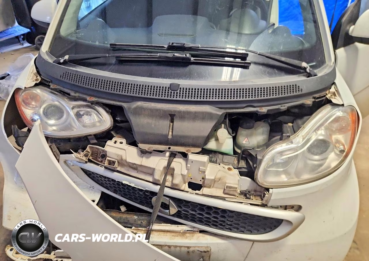 2013 Smart Fortwo Pure VIN:WMEEJ3BA3DK683060 - 11