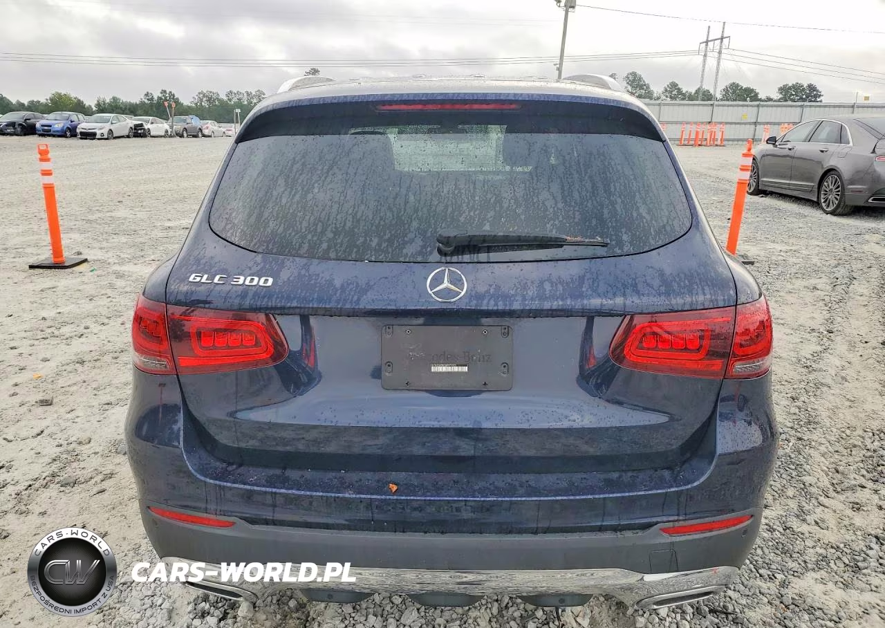 2021 Mercedes-Benz Glc 300 VIN:W1N0G8DB2MF975925 - 6