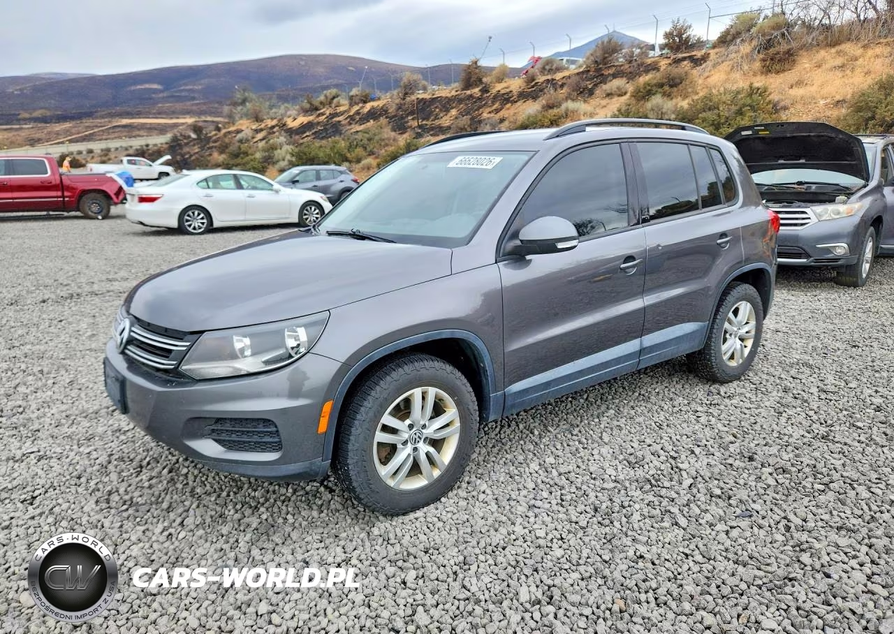 2015 Volkswagen Tiguan S