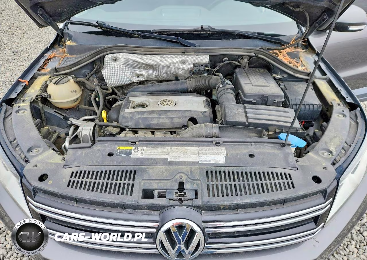 2015 Volkswagen Tiguan S VIN:WVGBV7AX9FW508435 - 12