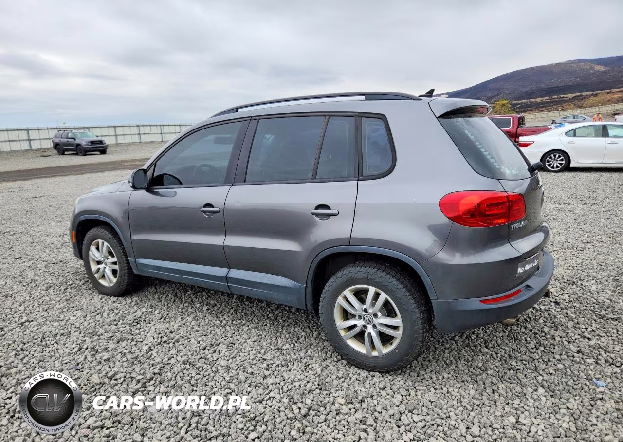 2015 Volkswagen Tiguan S VIN:WVGBV7AX9FW508435 - 2