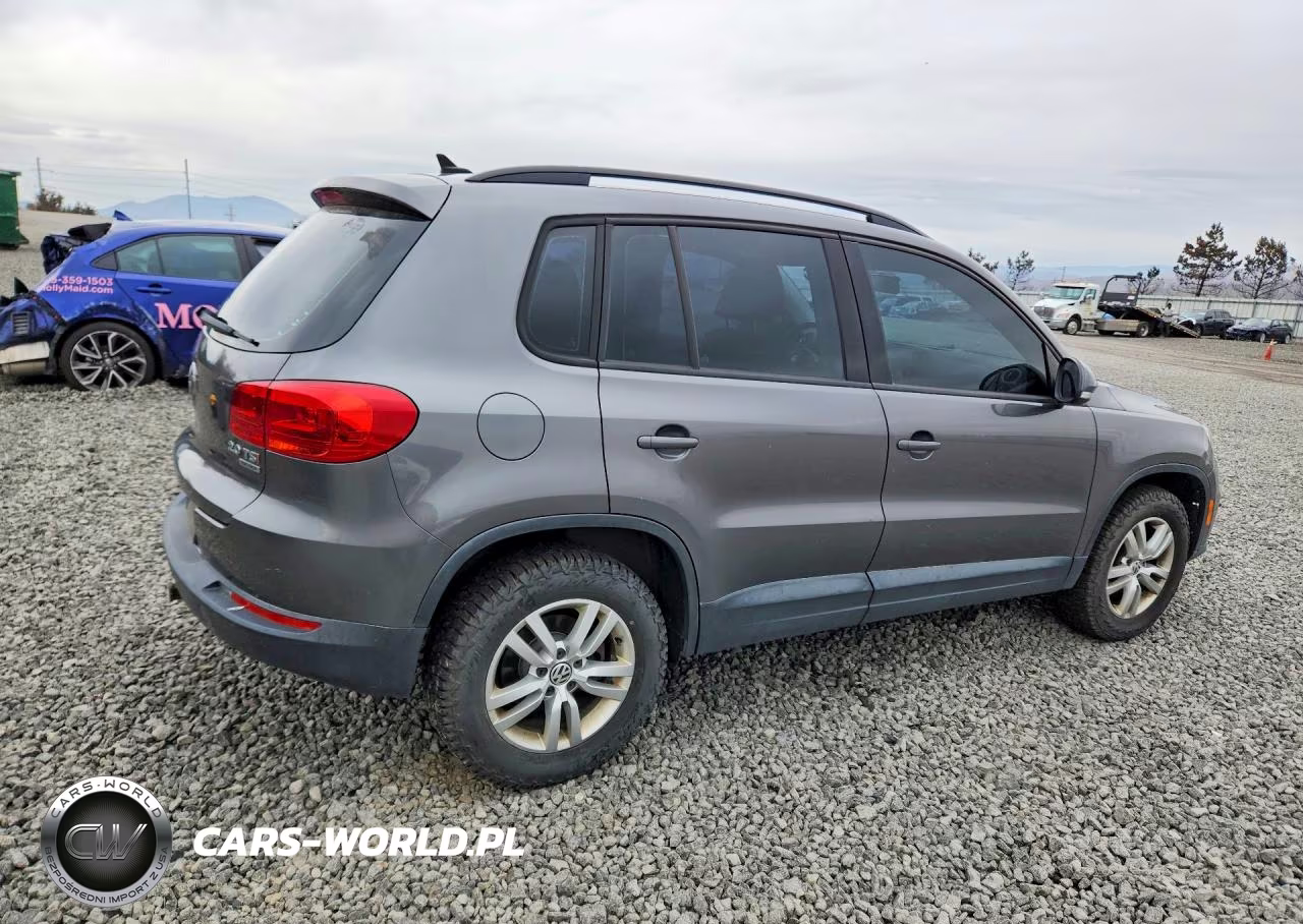 2015 Volkswagen Tiguan S VIN:WVGBV7AX9FW508435 - 3