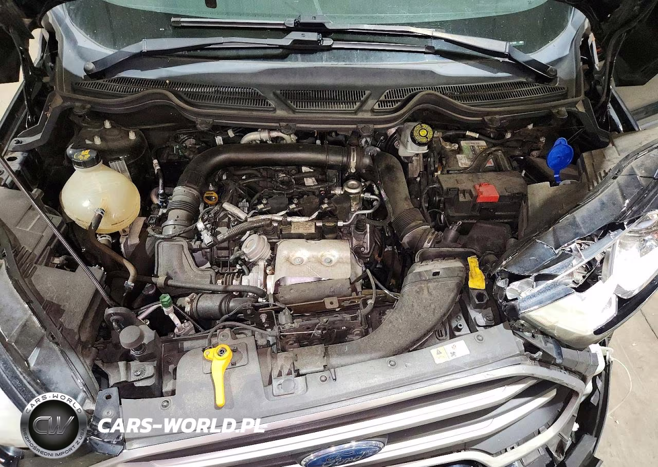 2020 Ford Ecosport Se VIN:MAJ3S2GE6LC311364 - 12