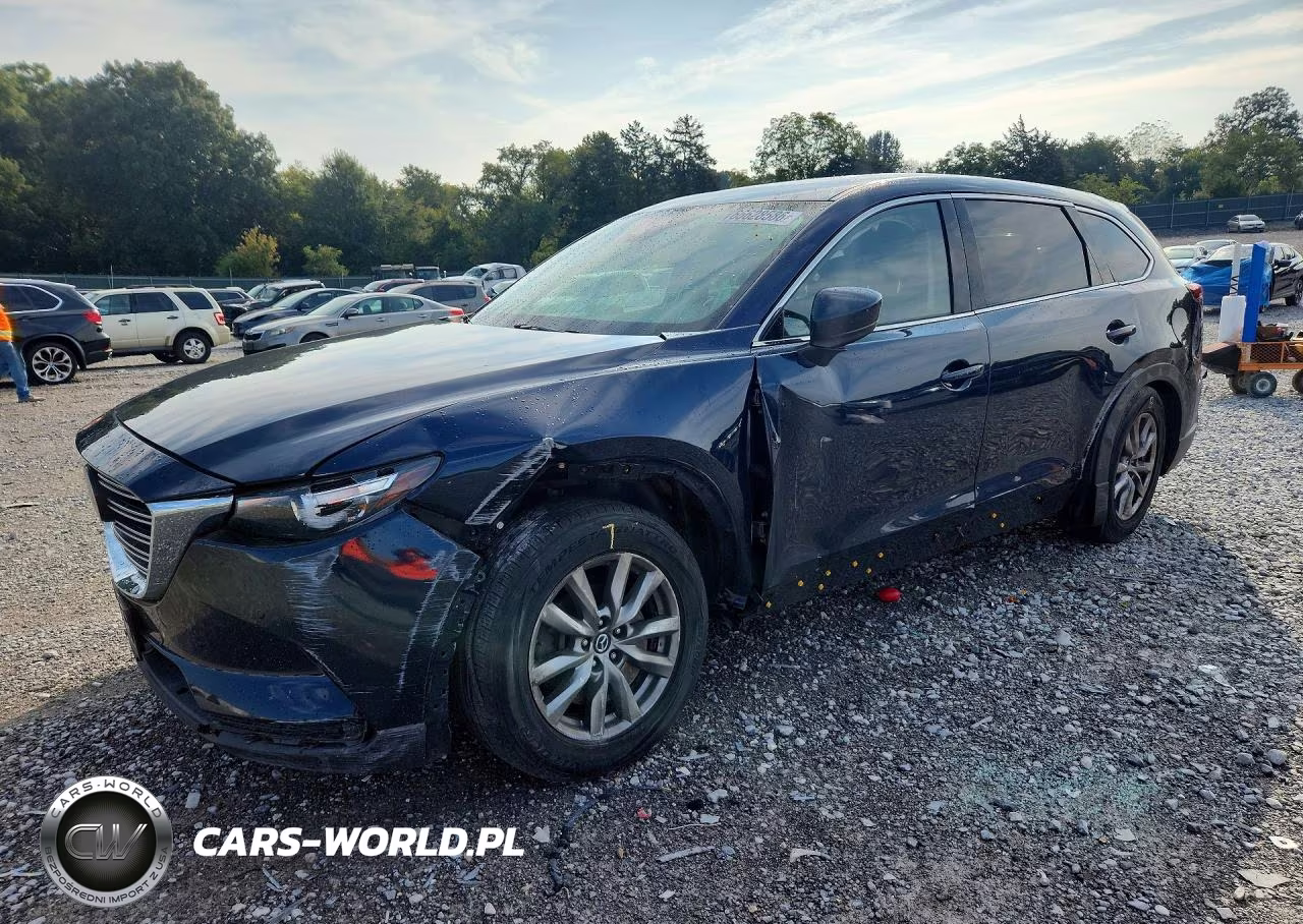 2019 Mazda Cx-9 Touring VIN:JM3TCBCY5K0304906 - 1