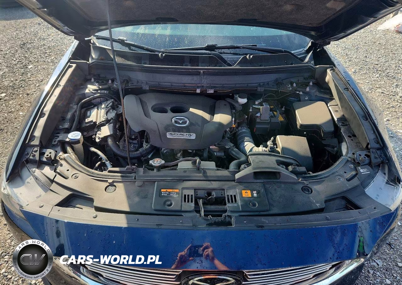 2019 Mazda Cx-9 Touring VIN:JM3TCBCY5K0304906 - 12