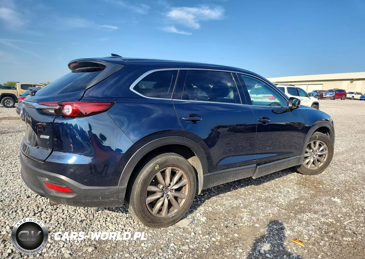 2019 Mazda Cx-9 Touring VIN:JM3TCBCY5K0304906 - 3