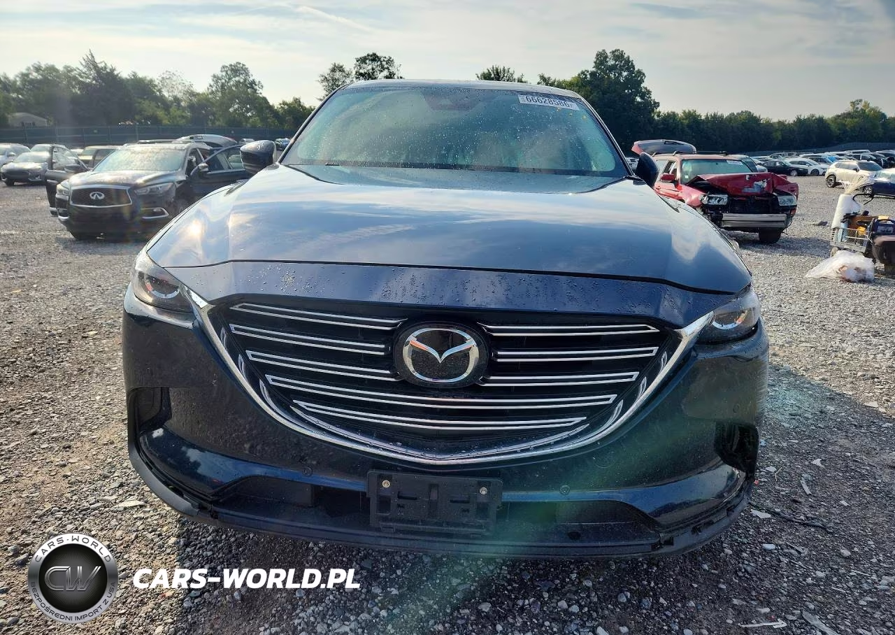 2019 Mazda Cx-9 Touring VIN:JM3TCBCY5K0304906 - 5