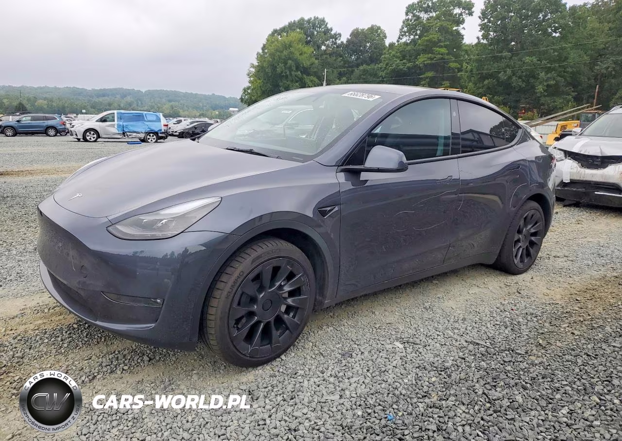 2023 Tesla Model Y VIN:7SAYGDED7PF961047 - 1