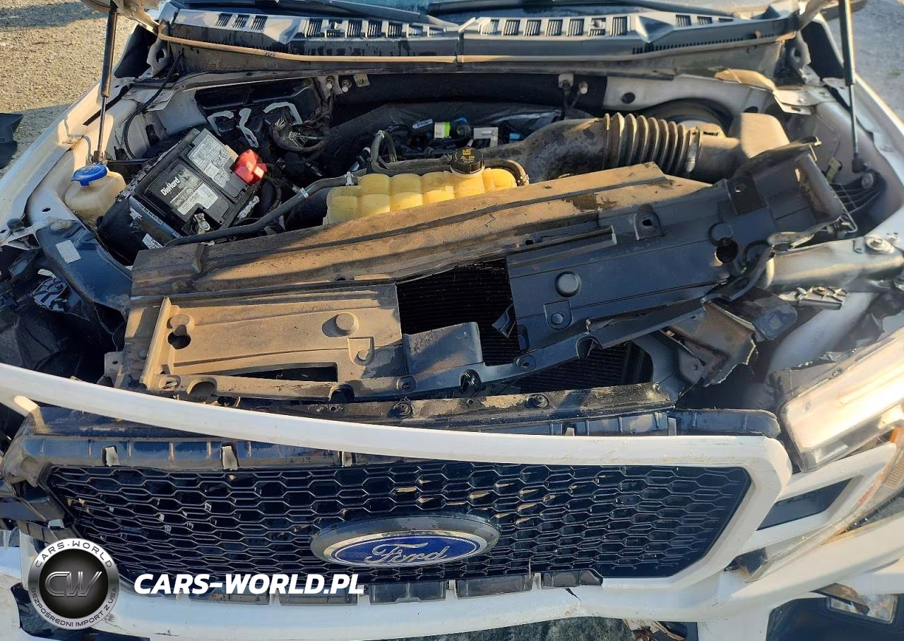 2019 Ford F150 Supercrew VIN:1FTEW1CP6KFB75680 - 11