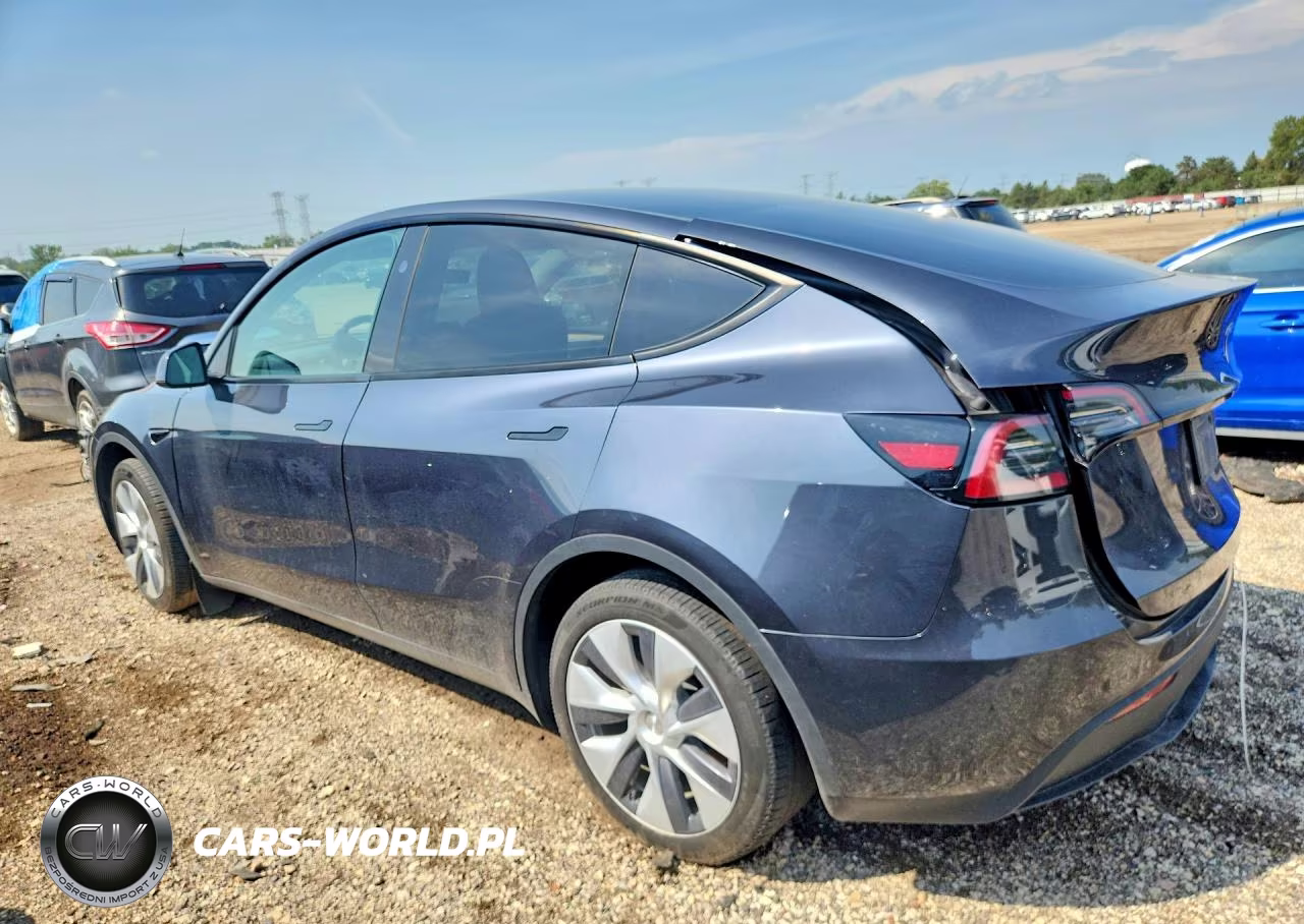 2024 Tesla Model Y VIN:7SAYGDEE1RA278950 - 2