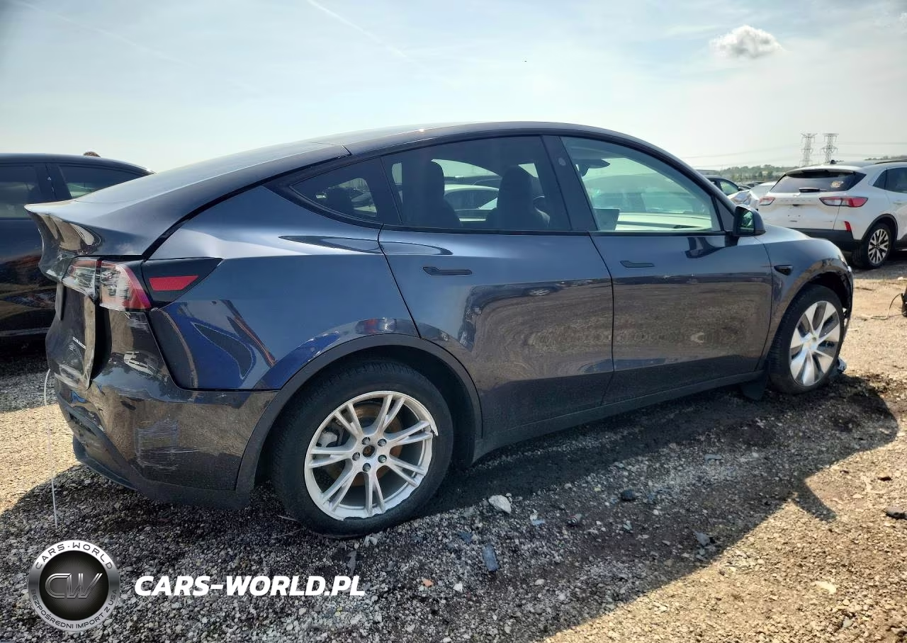 2024 Tesla Model Y VIN:7SAYGDEE1RA278950 - 3