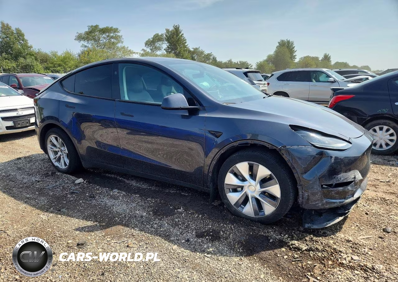 2024 Tesla Model Y VIN:7SAYGDEE1RA278950 - 4