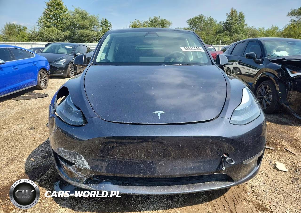 2024 Tesla Model Y VIN:7SAYGDEE1RA278950 - 5