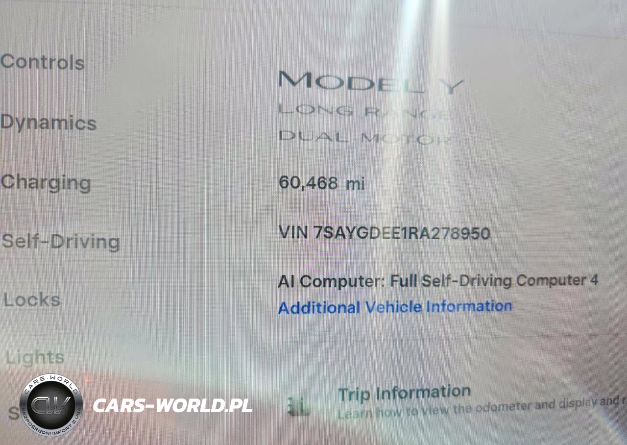2024 Tesla Model Y VIN:7SAYGDEE1RA278950 - 9