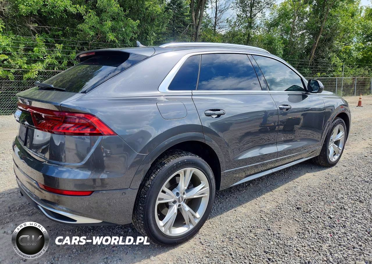 2019 Audi Q8 Prestige VIN:WA1CVAF13KD031124 - 3