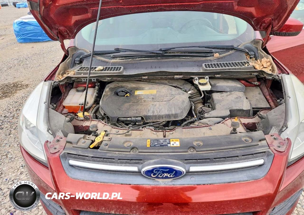 2014 Ford Escape Se VIN:1FMCU0GX2EUA13378 - 11