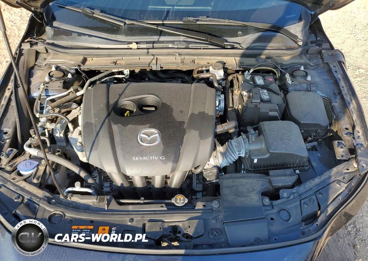 2019 Mazda 3 VIN:JM1BPAJM0K1138520 - 11