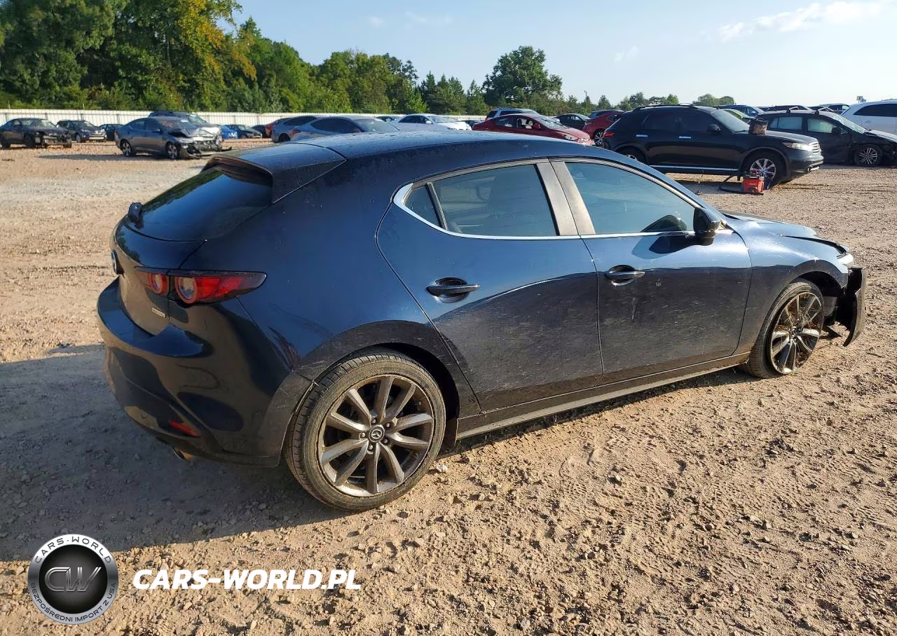 2019 Mazda 3 VIN:JM1BPAJM0K1138520 - 3