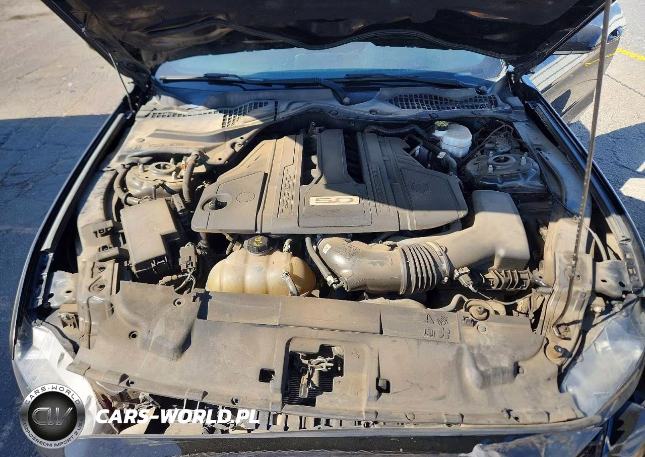 2021 Ford Mustang Gt VIN:1FA6P8CF6M5126284 - 11