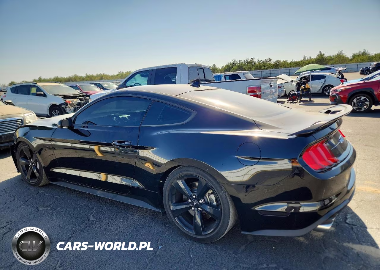 2021 Ford Mustang Gt VIN:1FA6P8CF6M5126284 - 2