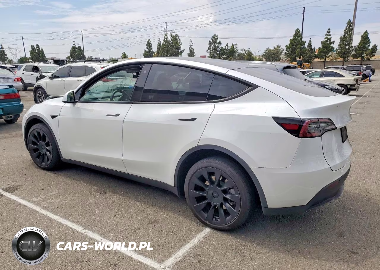 2023 Tesla Model Y VIN:7SAYGDEE4PA112404 - 2