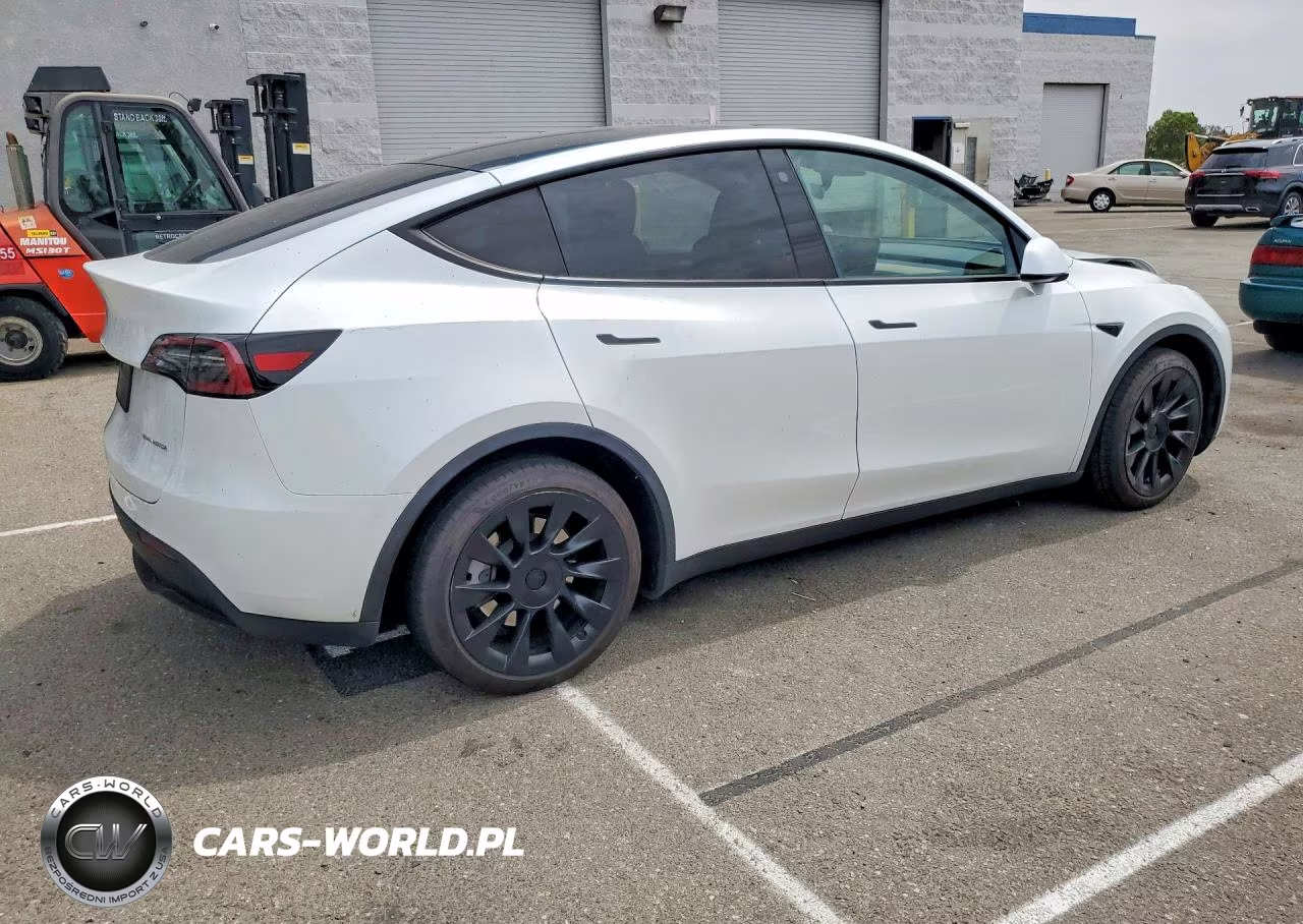 2023 Tesla Model Y VIN:7SAYGDEE4PA112404 - 3