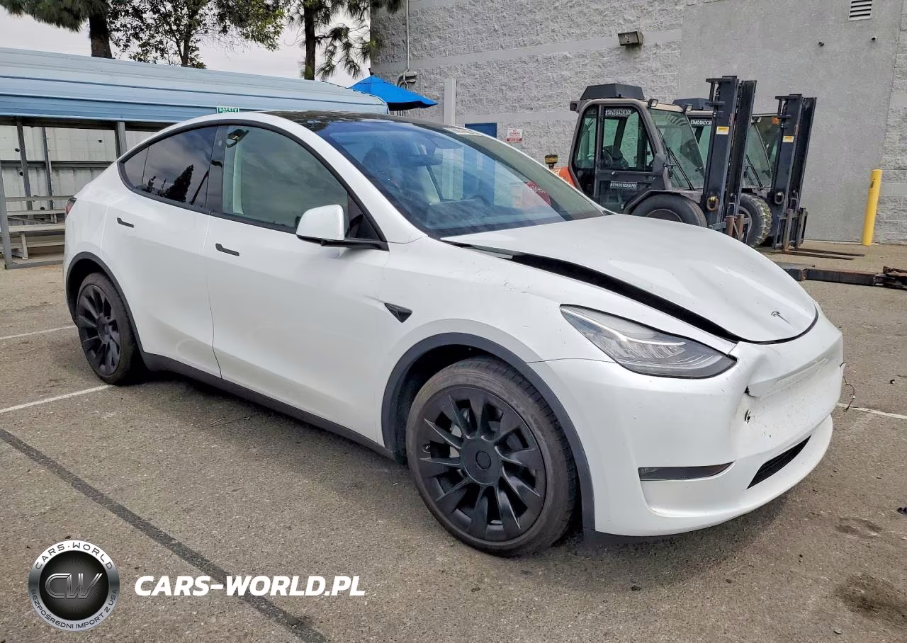 2023 Tesla Model Y VIN:7SAYGDEE4PA112404 - 4