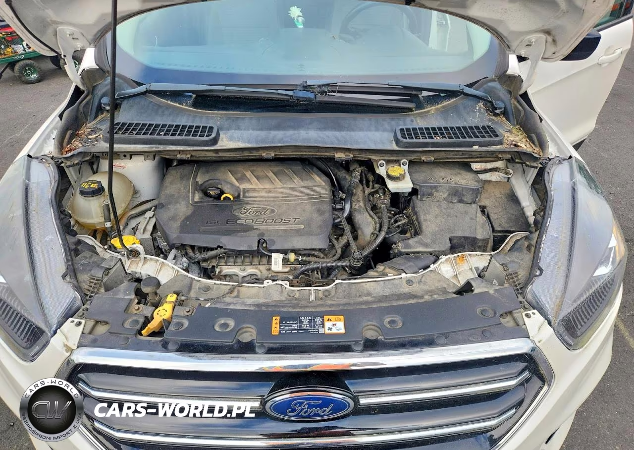 2018 Ford Escape Se VIN:1FMCU9GD9JUC10021 - 11